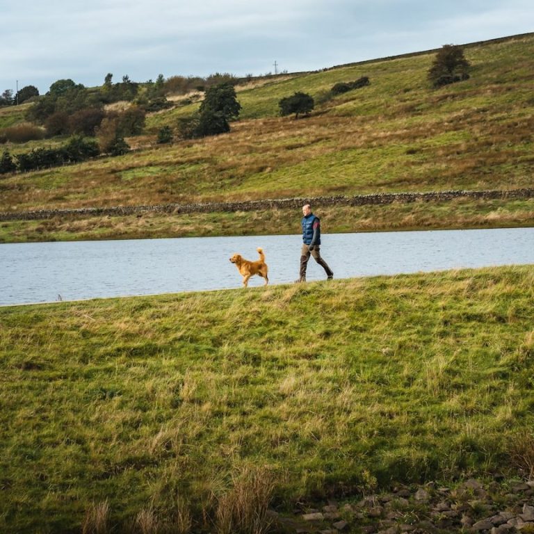 Logo für "Hunde Service Bremen" mit einem fröhlichen Hund und Stadtansichten.